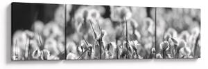 Obraz - Letní louka (170x50 cm)