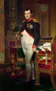 Obrazová reprodukce Napoleon Bonaparte in his Study at the Tuileries, Jacques Louis David