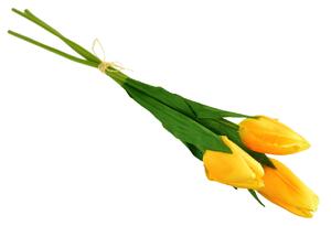 Svazek 3 ks tulipánů žluté 50 cm