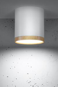 Candellux Tuba stropní světlo 1x5 W bílá-dřevo 2273624