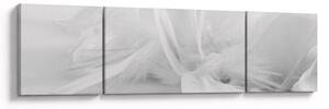 Obraz - Peří (170x50 cm)