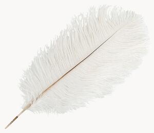Dekorace Feather