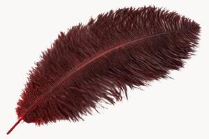 Dekorace Feather