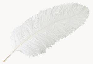 Dekorace Feather
