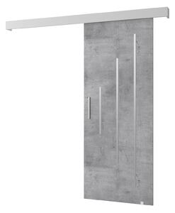 Posuvné dveře 90 cm Sharlene Y (beton + bílá matná + stříbrná). 1044015