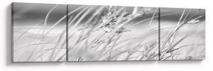 Obraz - Plážová tráva (170x50 cm)