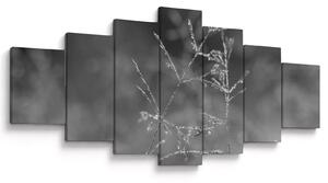 Obraz - Venkovská louka (210x100 cm)