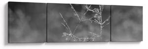 Obraz - Venkovská louka (170x50 cm)
