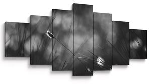 Obraz - Luční tráva (210x100 cm)