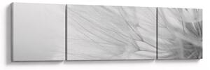 Obraz - Pampeliška (170x50 cm)