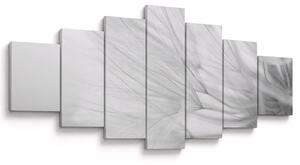 Obraz - Pampeliška (210x100 cm)