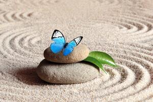 Fototapeta modrý motýl na Zen kameni