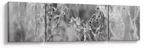 Obraz - Divoká louka (170x50 cm)
