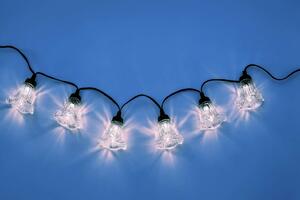 Světelný řetěz – květy povijnice, studená bílá, 10 m, 10 LED