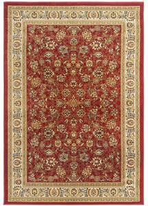 Breno Kusový koberec KENDRA 170/DZ2P, Červená, Vícebarevné, 240 x 340 cm