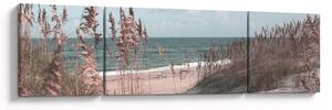Obraz - Růžová pláž (170x50 cm)