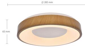 Brilagi - LED Stropní svítidlo DORIA LED/24W/230V