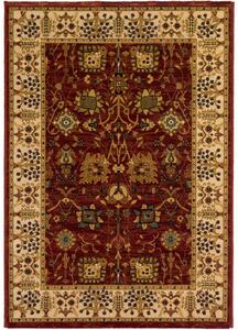 Breno Kusový koberec PRAGUE 636/IB2R, Červená, Vícebarevné, 67 x 120 cm