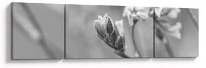 Obraz - Rozkvetlá květina (170x50 cm)