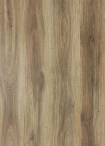 Breno Vinylová podlaha MODULEO SELECT Classic Oak 24844, velikost balení 3,881 m2 (15 lamel)