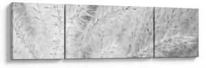 Obraz - Pampas grass N⁰1 (170x50 cm)