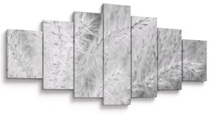 Obraz - Pampas grass N⁰1 (210x100 cm)