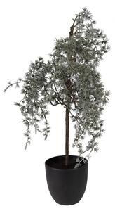 Dekorace cedrový stromek v květináči Cedar M - 30*30*60 cm - Clayre & Eef