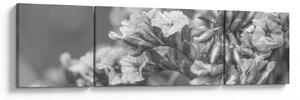 Obraz - Sušené květy (170x50 cm)