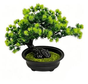 Sinsay - Dekorační rostlina bonsai v květináči - zelená