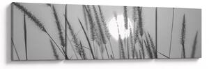 Obraz - Louka při západu slunce (170x50 cm)