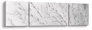 Obraz - Pampas grass N⁰2 (170x50 cm)