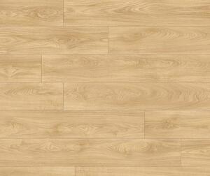 IVC Vinyl MODULEO ROOTS 55 EIR Laurel Oak 51332