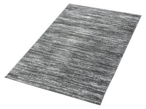 Breno Kusový koberec DOUX 520/IS2E, Šedá, 200 x 285 cm
