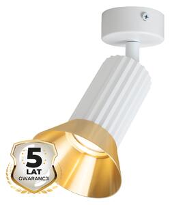 Bodové svítidlo Tulip, 1x zlaté/bílé kovové stínítko, w