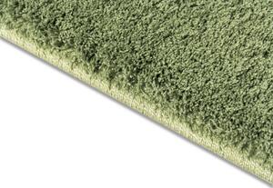 Breno Kusový koberec DOLCE VITA 01/AAA, Zelená, 80 x 150 cm
