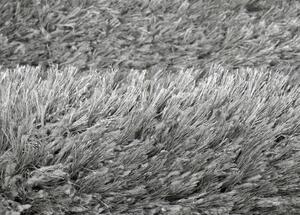 Breno Kusový koberec RHAPSODY 25-01/906, Stříbrná, 60 x 120 cm