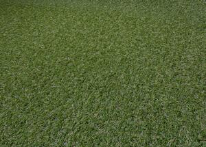 Breno Umělá tráva TERRAZA, šíře role 200 cm