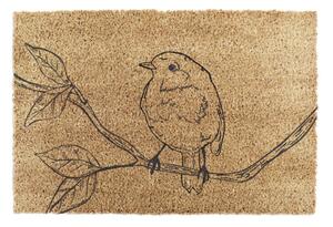 Rohožka z kokosového vlákna 40x60 cm Pencil Robin – Artsy Doormats