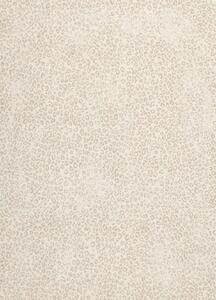 Breno Kusový koberec PIAZZO 12268/100, Béžová, Vícebarevné, 120 x 170 cm
