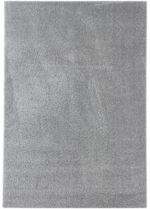 Breno Kusový koberec DOLCE VITA 01/SSS, Šedá, 120 x 170 cm