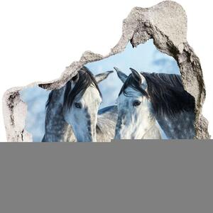 Díra 3D fototapeta nálepka Šedí koně zima nd-p-116887257
