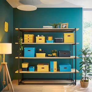 Modrý kartonový úložný box s víkem 48x37x20 cm Click&Store – Leitz