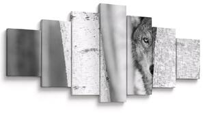 Obraz - Vlk v lese (210x100 cm)