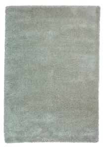 Světle zelený koberec 80x150 cm Sierra – Think Rugs