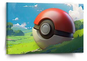 Sablio Obraz Pokemon ball Krajina - 120x80 cm