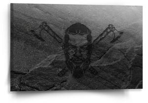 Sablio Obraz Vikingové Stone - 60x40 cm
