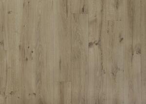Breno PVC POLARIS Sweet Oak 661M, šíře role 400 cm