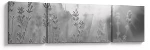 Obraz - Levandule (170x50 cm)