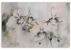 Obraz na plátně Abstraktní kvetoucí orchideje Rozměry: 60 x 40 cm