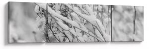 Obraz - Zasněžené větve (170x50 cm)